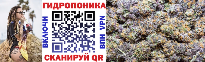 Бошки Шишки VHQ гидра зеркало Канаш